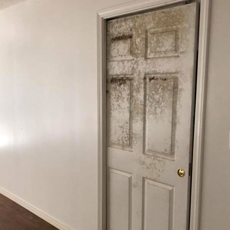 black mold growing in on door of home