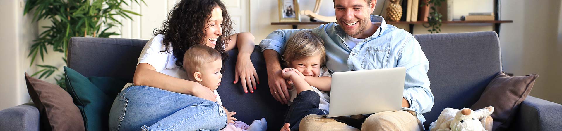 mold damage remediation