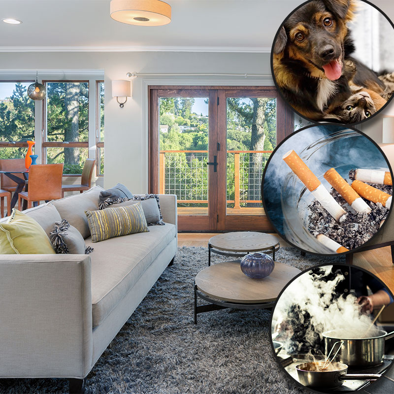 potential odors in the home